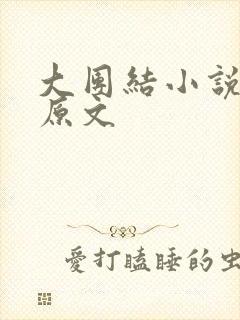 大团结小说阅读原文