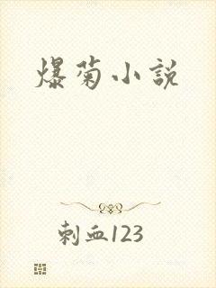 爆菊小说