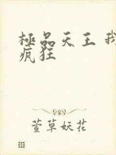 极品天王 我本疯狂封面