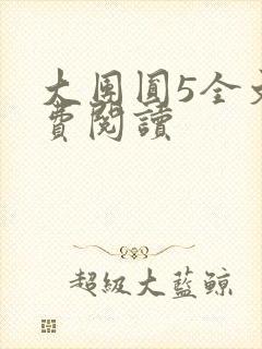 大团圆5全文免费阅读