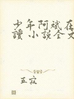少年阿斌在线阅读 小说全文免费封面
