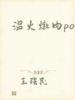 温火炖肉pop