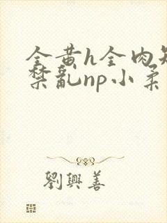 全黄h全肉短篇禁乱np小柔封面