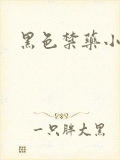 黑色禁药小说