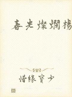 春光灿烂杨家将