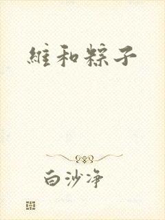 维和粽子