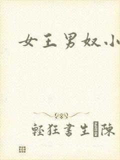 女王男奴小说