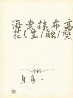 海棠抹布高岭之花(生/触/双)封面