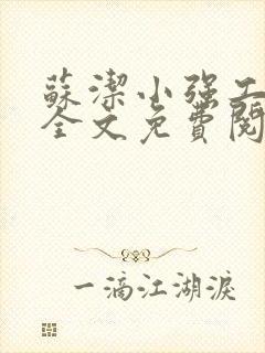 苏洁小强工地情全文免费阅读封面