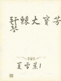 轩辕大宝芳菲雅琴