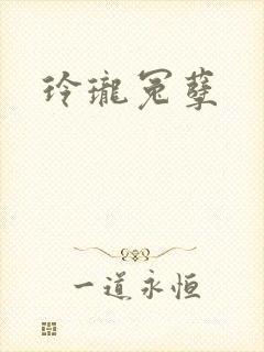 玲珑冤孽