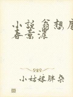 小说 翁想房中春意浓