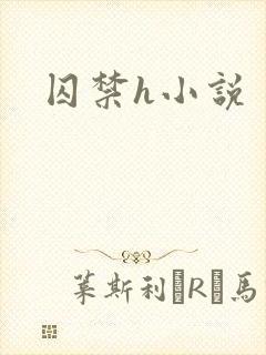 囚禁h小说