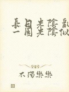 长日光阴 乱作一团光阴似箭封面