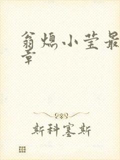 翁熄小莹最新节章