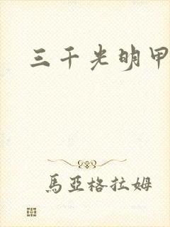 三千光明甲