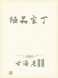 极品家丁