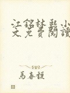 江铭林熙小说全文免费阅读