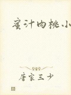 蜜汁肉桃小说
