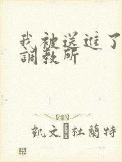 我被送进了私奴调教所