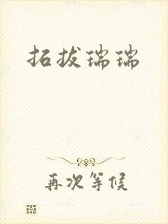 拓拔瑞瑞封面