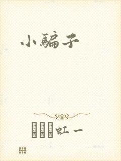 小骗子封面