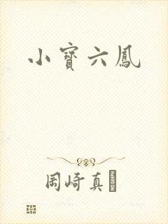 小宝六凤封面