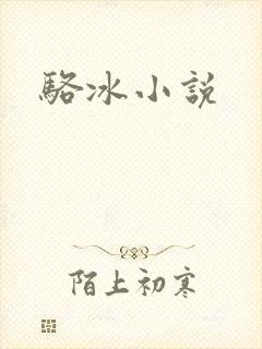 骆冰小说