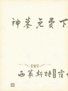 神墓免费下载