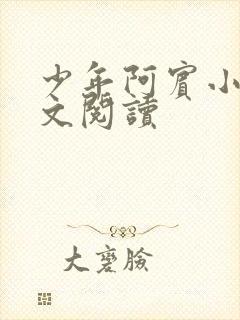 少年阿宾小说全文阅读封面