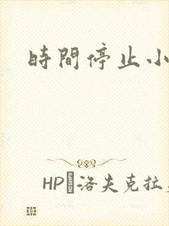 时间停止小说