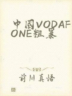 中国VODAFONE粗暴封面