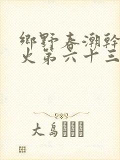 乡野春潮干柴烈火第六十三章封面