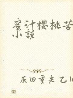 蜜汁樱桃苦咖啡小说