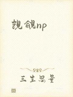 觊觎np