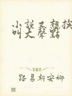 小说又想挨C了叫大声点封面