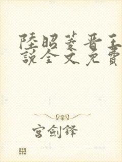 陆昭菱晋王的小说全文免费阅读