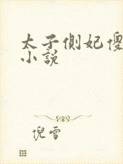太子侧妃傻乎乎小说