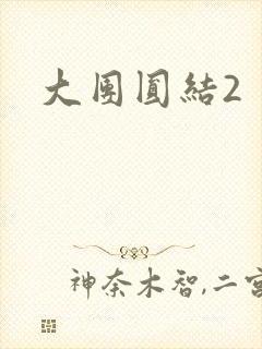大团圆结2封面