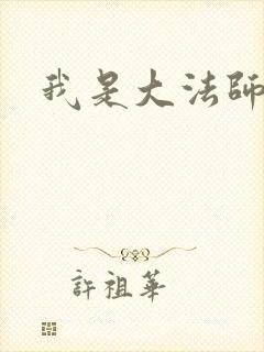 我是大法师封面