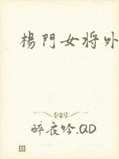 杨门女将外传