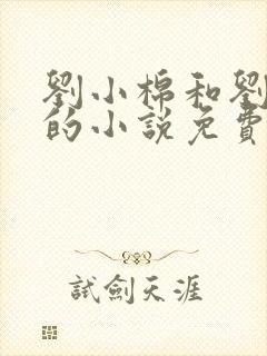刘小棉和刘易文的小说免费阅读