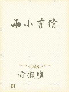 两小有猜封面