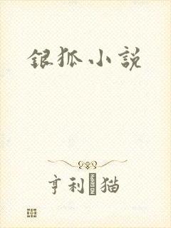 银狐小说