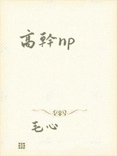 高干np