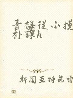 青梅从小摸到大补课h