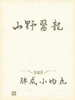 山野医龙封面