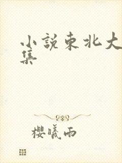 小说东北大炕全集