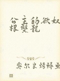 公主的欲奴h四根双龙