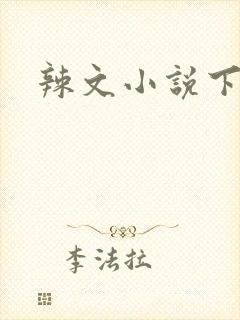 辣文小说下载